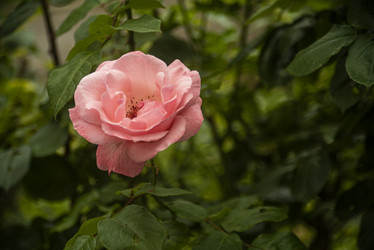 Similar image 22748270