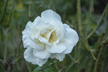 Similar image 22756134