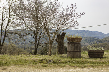 Similar image 22763523