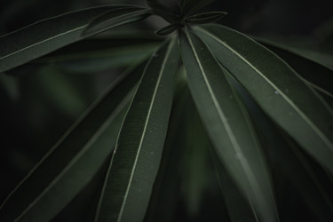 Similar image 22694238