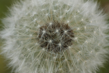 Similar image 22694598