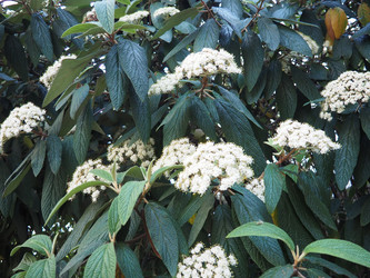 Similar image 22706245