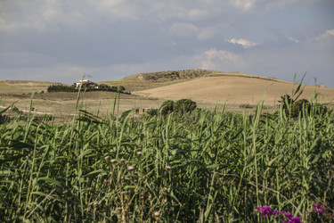 Similar image 22694957