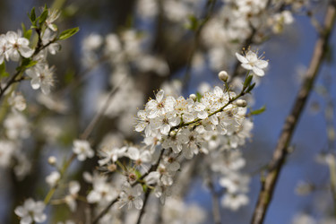 Similar image 22662577