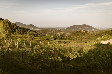 Similar image 22662666