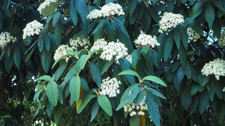 Similar image 22665410