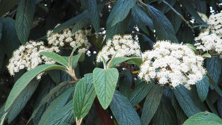 Similar image 22665411