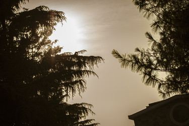Similar image 22750203