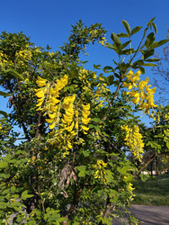 Similar image 22668612