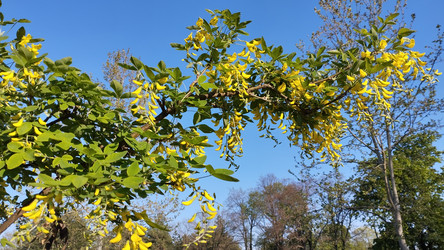 Similar image 22668629