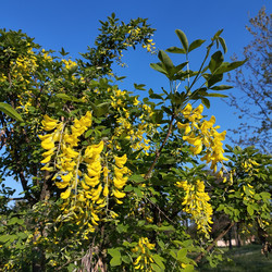 Similar image 22668630