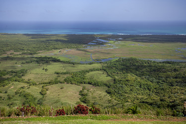 Similar image 22766856