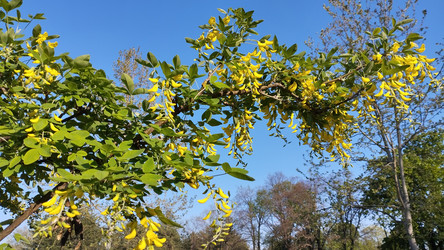 Similar image 22668750