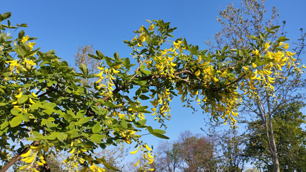 Similar image 22668751