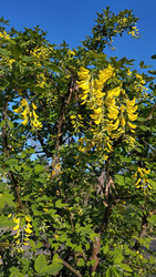Similar image 22668764