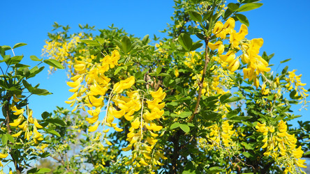 Similar image 22699965