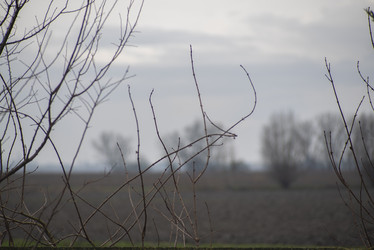Similar image 22755986