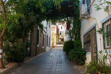 Similar image 22650850
