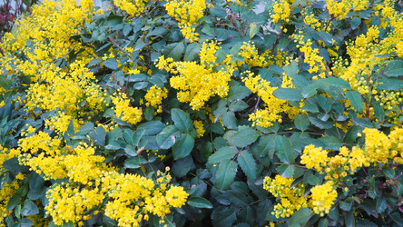 Similar image 22661018