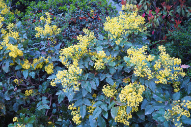 Similar image 22665390