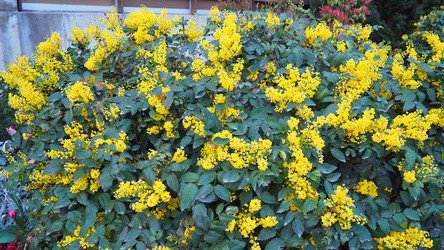 Similar image 22665391