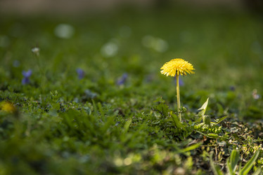Similar image 22750370