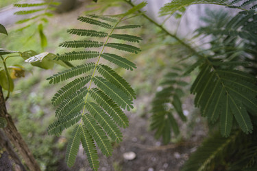 Similar image 22755956