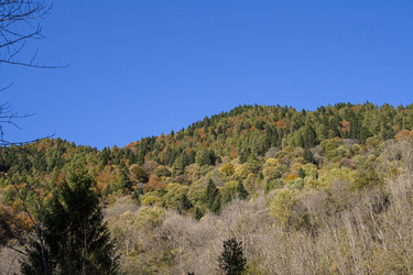 Similar image 22748226