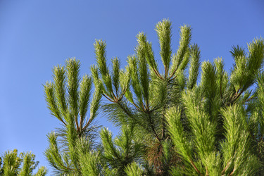 Similar image 22763420