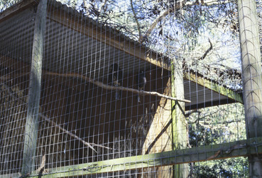 Similar image 22763496