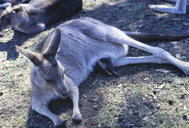 Similar image 22763987