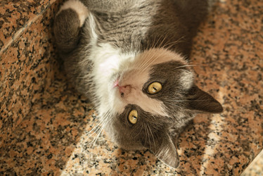 Similar image 22767157