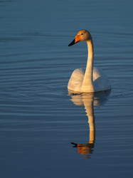Similar image 22679198