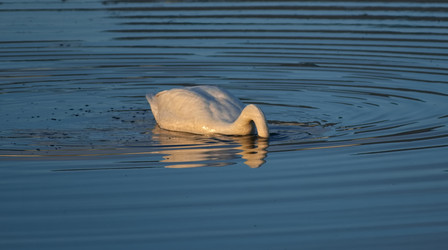 Similar image 22679199