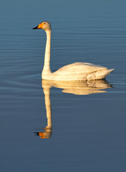 Similar image 22679200