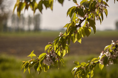 Similar image 22748107