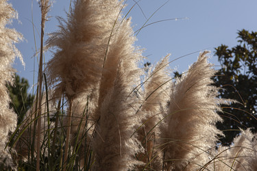 Similar image 22750087