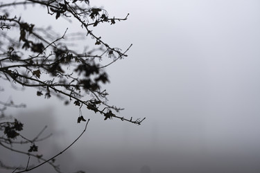 Similar image 22755914