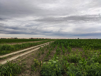 Similar image 22756033