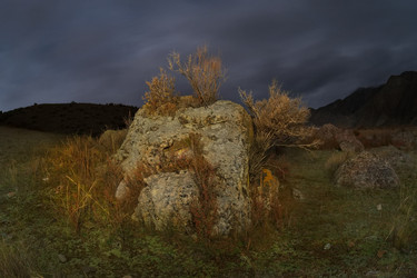 Similar image 22720026
