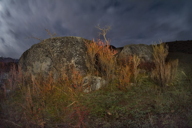 Similar image 22720028