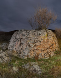 Similar image 22720029