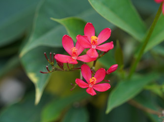 Similar image 22751446