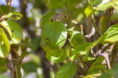Similar image 22767470