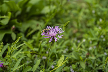 Similar image 22748228