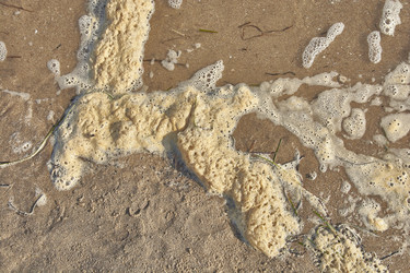 Similar image 22750208