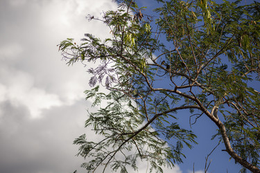 Similar image 22748109