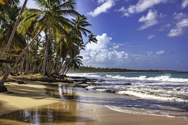 Similar image 22756001