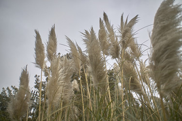 Similar image 22756260