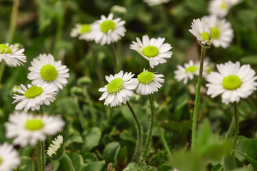 Similar image 22767158